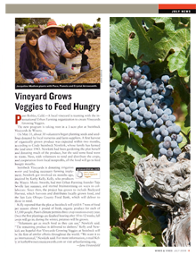 Wines & Vines - July 2008